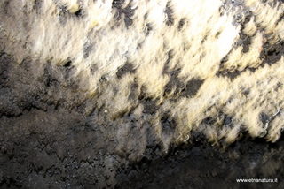 Grotta Sciara Galifi